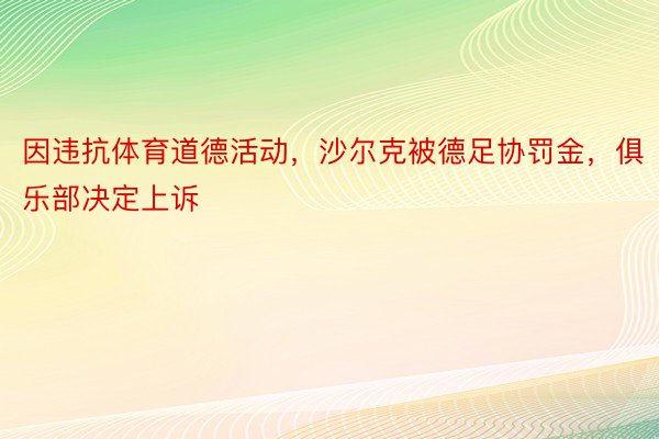 因违抗体育道德活动，沙尔克被德足协罚金，俱乐部决定上诉