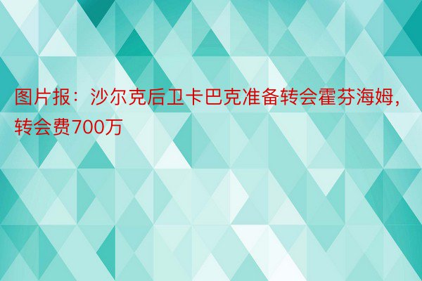 图片报：沙尔克后卫卡巴克准备转会霍芬海姆，转会费700万