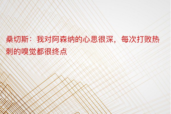 桑切斯：我对阿森纳的心思很深，每次打败热刺的嗅觉都很终点