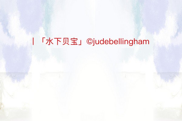 丨「水下贝宝」©judebellingham