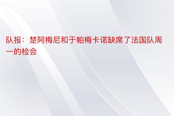 队报：楚阿梅尼和于帕梅卡诺缺席了法国队周一的检会